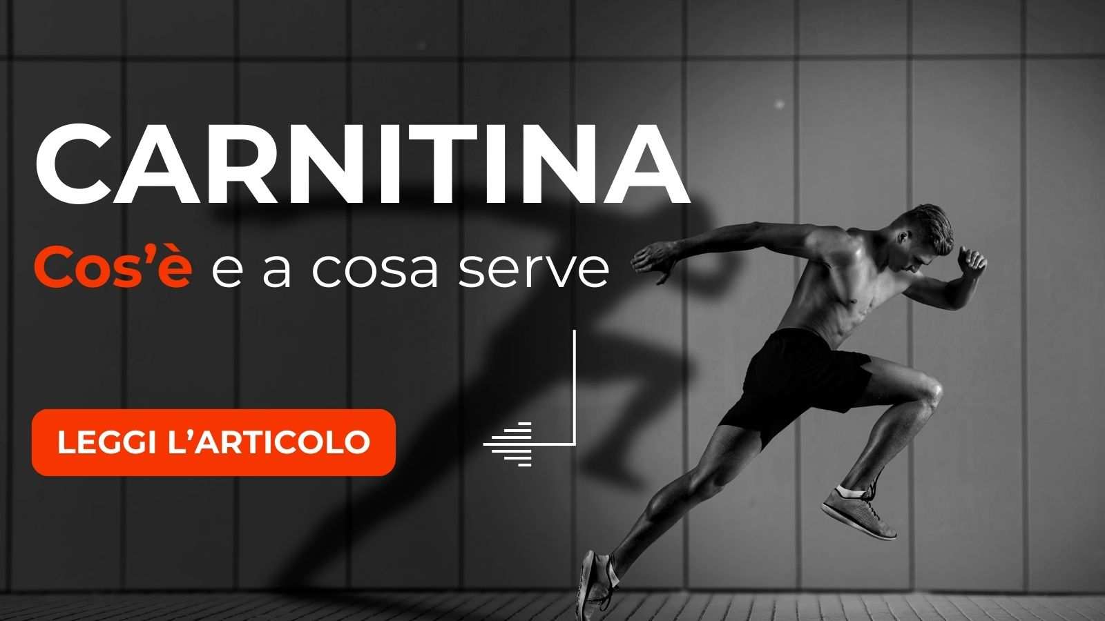 Carnitina: A cosa serve, Cos'è e Quale scegliere