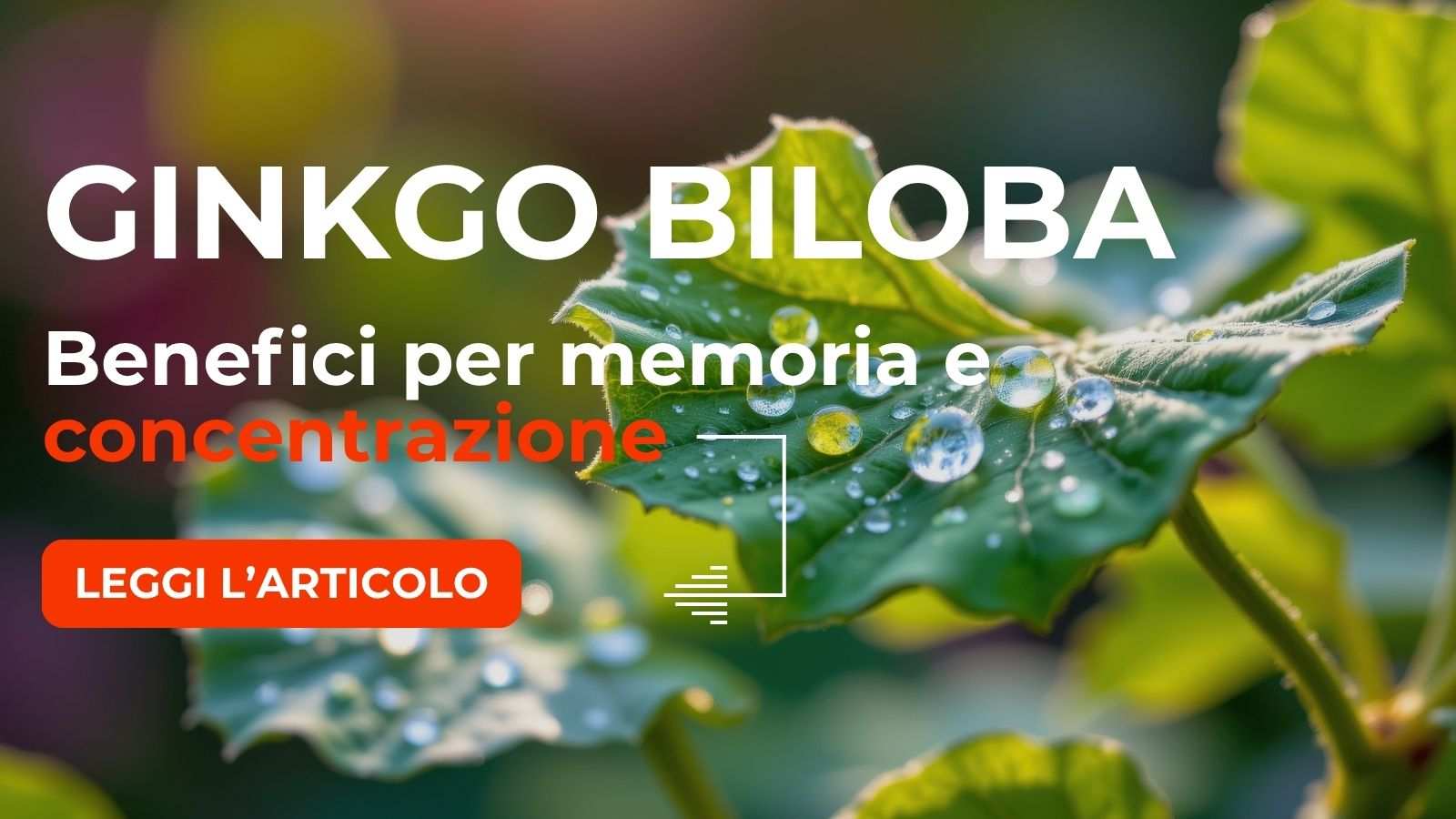 Ginkgo Biloba: Benefici per la Memoria e Concentrazione