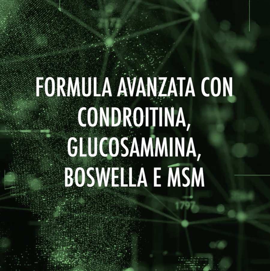 BLOCK PAIN - Integratore per le Articolazioni con Glucosamina, Condroitina, Boswellia e MSM